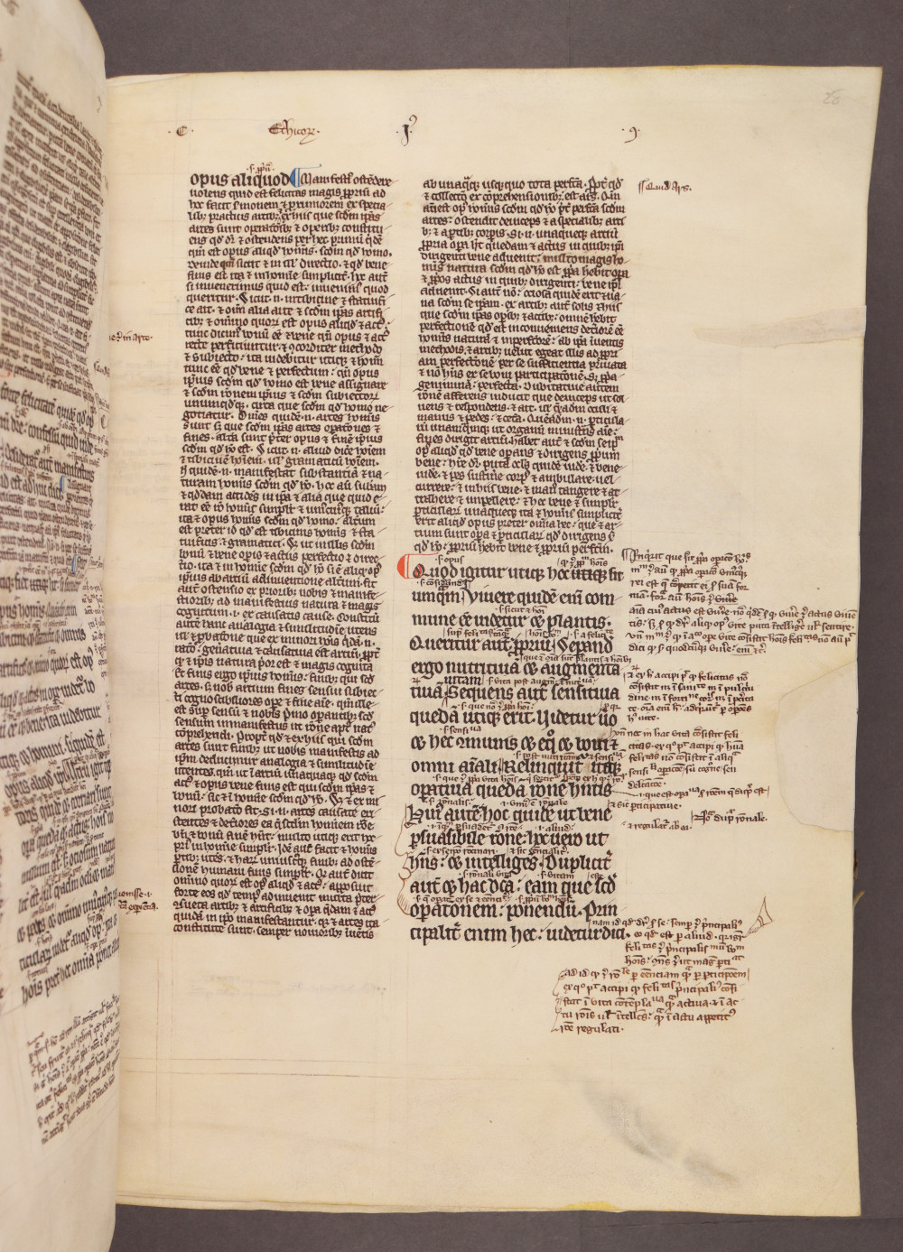 Folio 28 recto